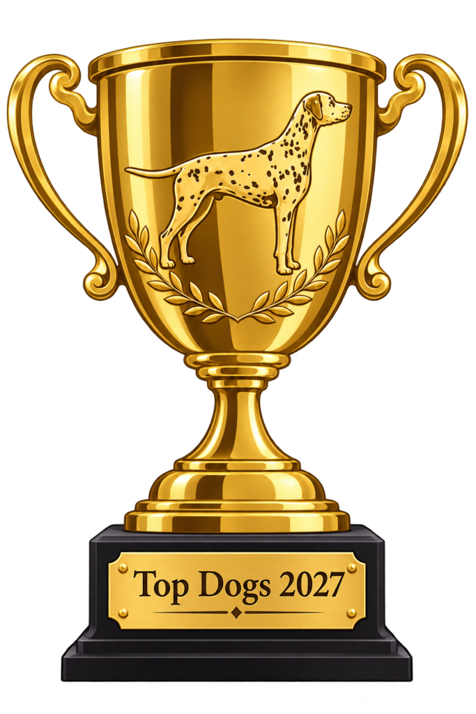 VDH Top Dogs 2027